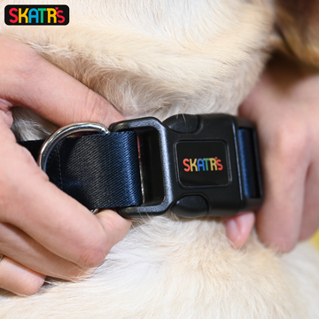 Skatrs Premium Adjustable Collar for Dogs (Dark Blue)