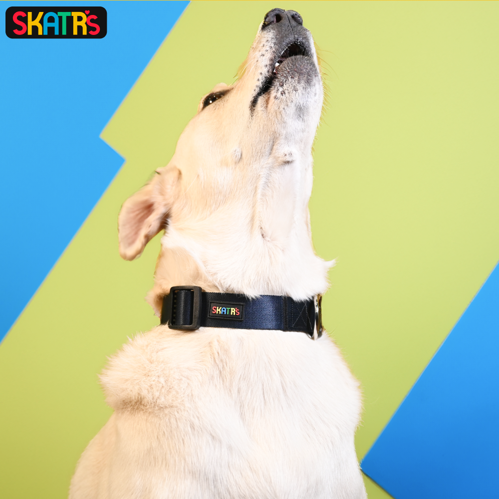 SKATRS Premium Adjustable Collar for Dogs (Dark Blue)