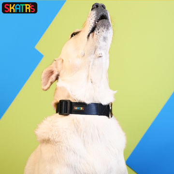 Skatrs Premium Adjustable Collar for Dogs (Dark Blue)