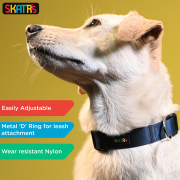 Skatrs Premium Adjustable Collar for Dogs (Dark Blue)