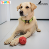 Skatrs Ball Shaped Rope Chew Toy for Cats & Dogs (Red/White) Both-Toys Skatrs