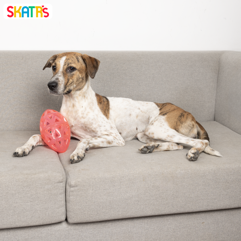 Skatrs Rugby Ball Toy for Dogs | Durable, Non-Toxic & Soft Chewing, Training & Bouncing Pet Toy Both-Toys Skatrs