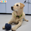 Skatrs Ball Shaped Twisted Rope Chew Toy for Dogs and Cats (Buy 1 Get 1) Both-Toys Skatrs