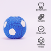 Skatrs Latex Football Toy for Dogs and Cats (Blue & White) Both-Toys Skatrs