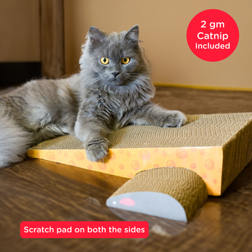 Skatrs Say Cheese Corrugated Cardboard Scratcher Pad Toy with Catnip for Cats (Length 41cm)