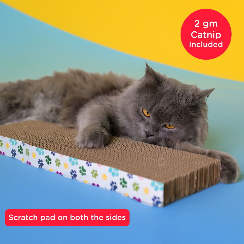 Skatrs Wide Block Corrugated Cardboard Cat Scratcher for Kittens with 2g Premium Catnip Free