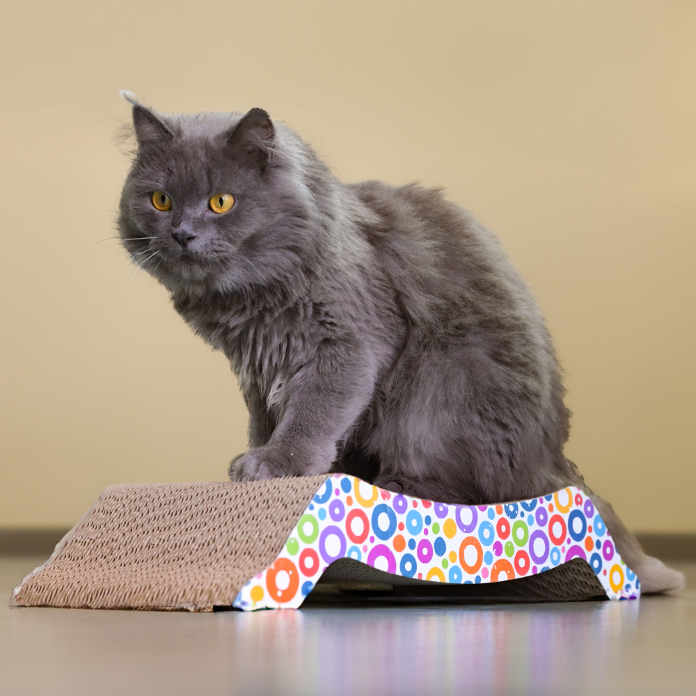 Skatrs Whisker Wonder Corrugated Cardboard Cat Scratcher with 2g Premium Catnip Free Cats-Toys Skatrs