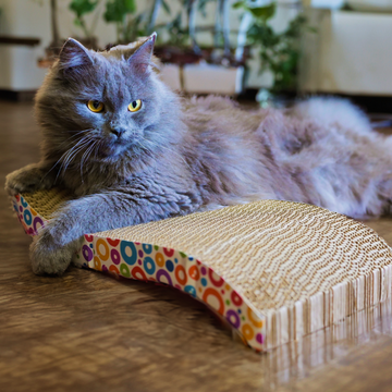 Skatrs The Satisfying Wave Cat Scratcher with 2g Premium Catnip Free (15x7.5x2.8in)