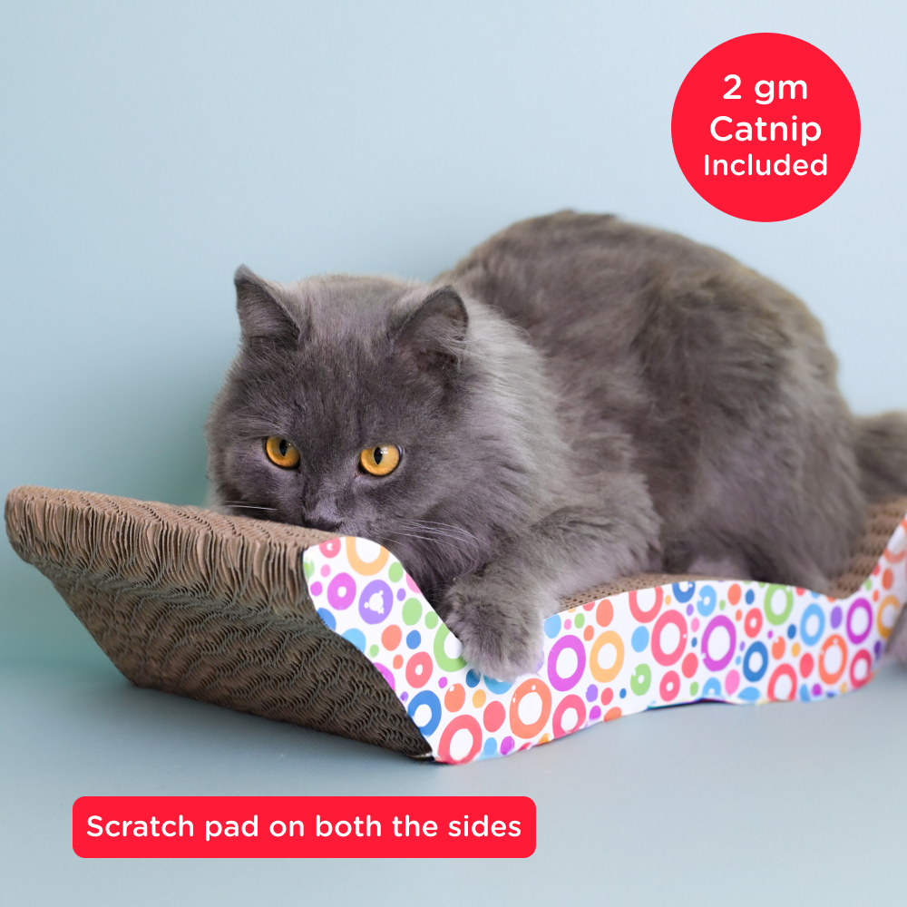 Skatrs Whisker Wonder Corrugated Cardboard Cat Scratcher with 2g Premium Catnip Free Cats-Toys Skatrs Pack of 1