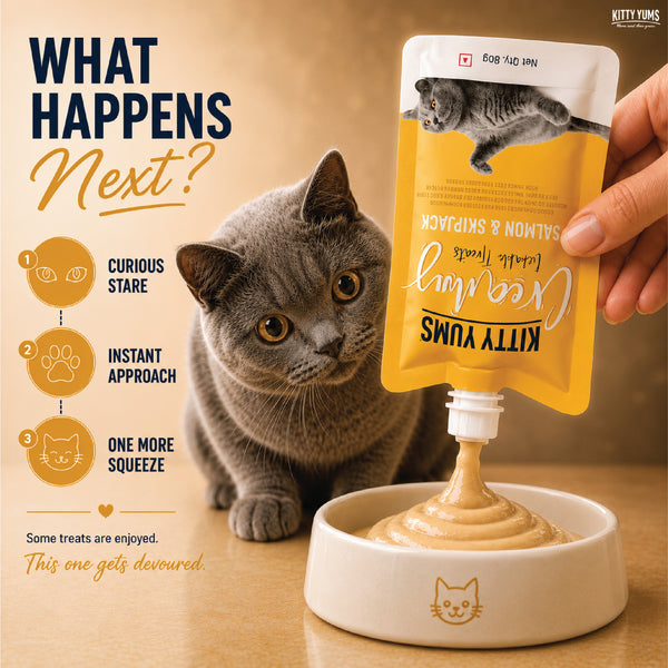 Kitty Yums Lickable Salmon & Skipjack Creamy Cat Treat