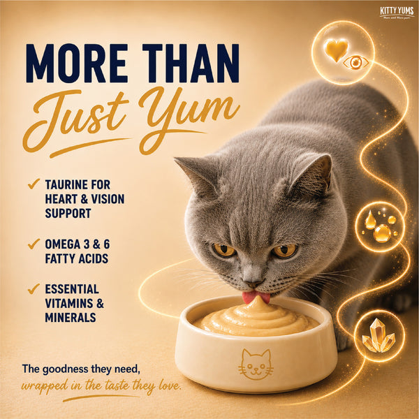 Kitty Yums Lickable Salmon & Skipjack Creamy Cat Treat