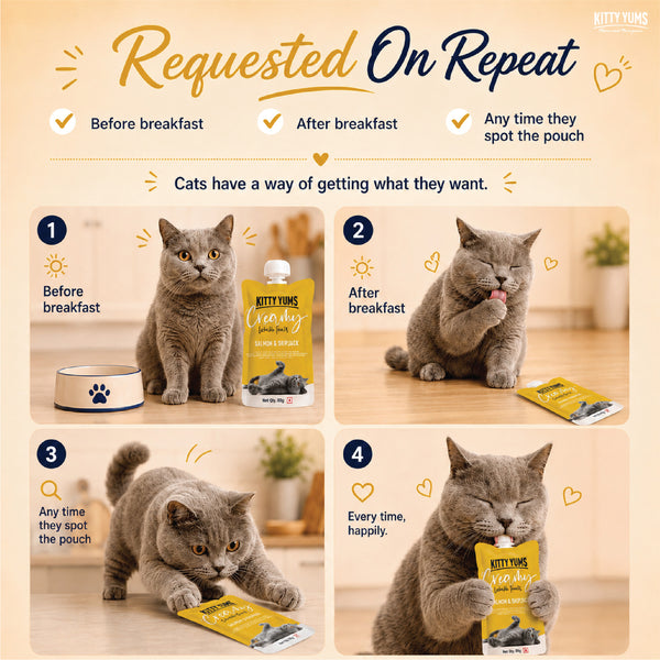 Kitty Yums Lickable Salmon & Skipjack Creamy Cat Treat