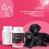 Venttura Lacto Plus Milk Boosters Chewable Tablets for Dogs Both-Health & Wellness Venttura