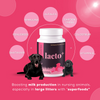 Venttura Lacto Plus Milk Boosters Chewable Tablets for Dogs Both-Health & Wellness Venttura