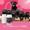Venttura Lacto Plus Milk Boosters Chewable Tablets for Dogs Both-Health & Wellness Venttura