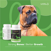 Venttura Calci Pro Plus Chewable Calcium Supplement Tablets for Dogs Both-Health & Wellness Venttura