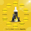 Venttura Livo Plus Liver Supplement Syrup for Dogs Both-Health & Wellness Venttura