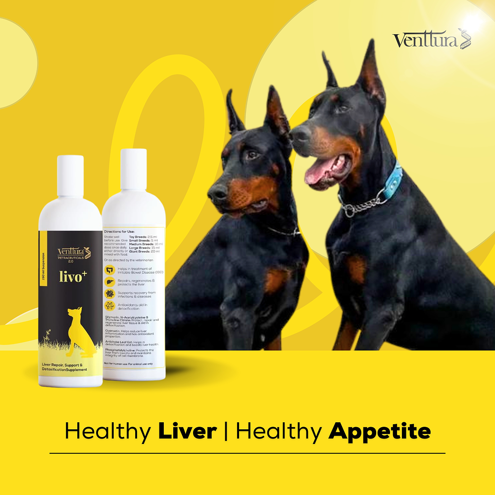 Venttura Livo Plus Liver Supplement Syrup for Dogs Both-Health & Wellness Venttura