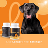 Venttura Nutri Plus Pro Multi Vitamin Chewable Tablets for Dogs Both-Health & Wellness Venttura