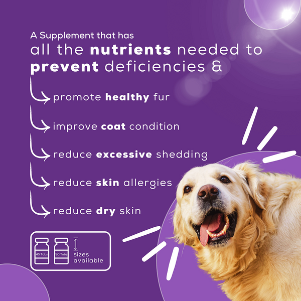 Venttura Omega 3 Plus Syrup with Fur Plus Chewable Skin & Coat Supplement for Dogs