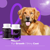 Venttura Omega 3 Plus Syrup with Fur Plus Chewable Skin & Coat Supplement for Dogs Both-Health & Wellness Venttura