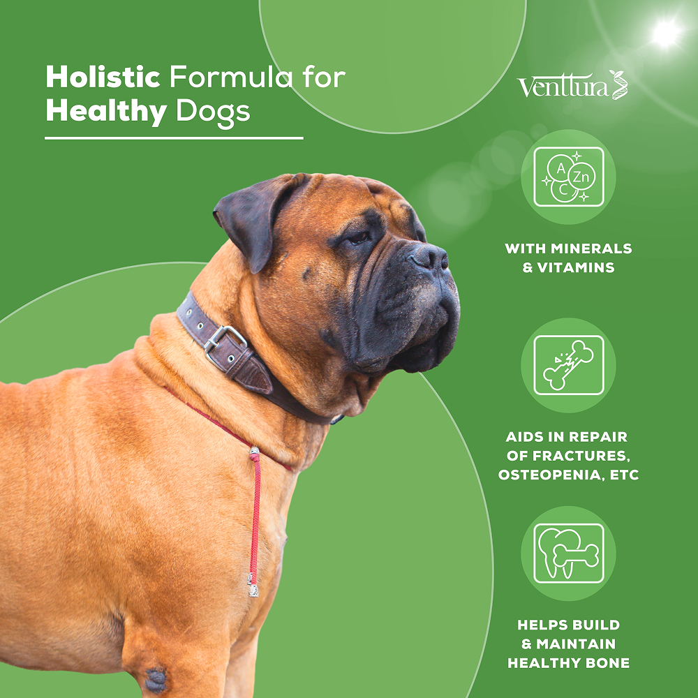 Venttura Calci Pro Plus Chewable Calcium Supplement Tablets for Dogs Both-Health & Wellness Venttura