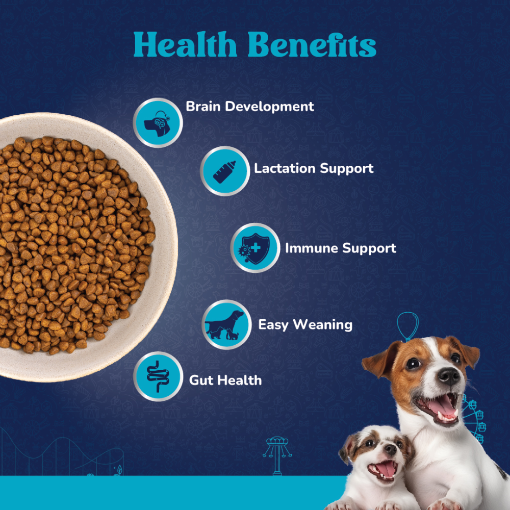 Carniwel Fresh Chicken Kibble Starter For Small Breed Mother & Baby Dog Dry Food Dogs- Dry Food Carniwel