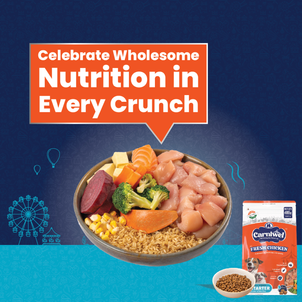 Carniwel Fresh Chicken Kibble Starter For Small Breed Mother & Baby Dog Dry Food Dogs- Dry Food Carniwel