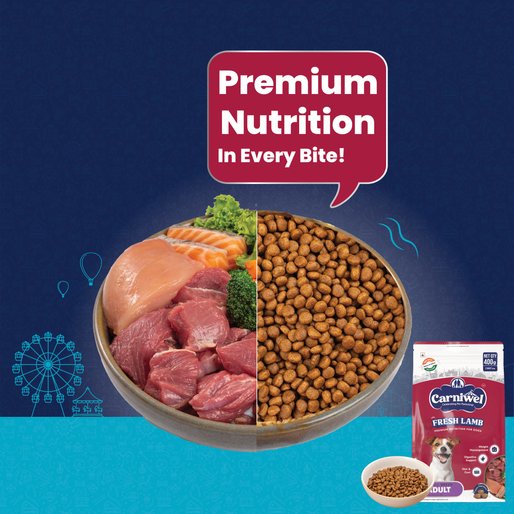 Carniwel Fresh Lamb Small Breed Adult Dog Dry Food Dogs- Dry Food Carniwel