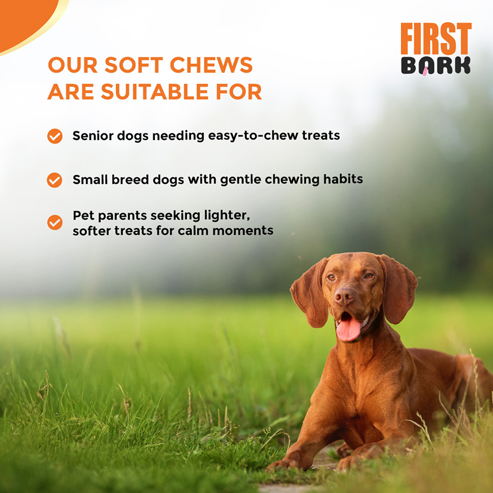 First Bark Chicken Slice with Cheese Jerky Dog Treat Dog Treats + Others First Bark