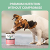 Schesir Chicken & Rice with Carrot in Jelly Dog Wet Food Dogs-Wet Food Schesir