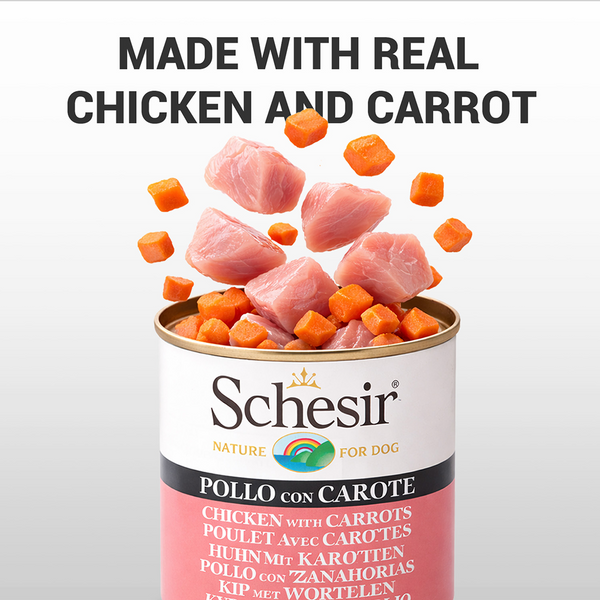 Schesir Chicken & Rice with Carrot in Jelly Dog Wet Food