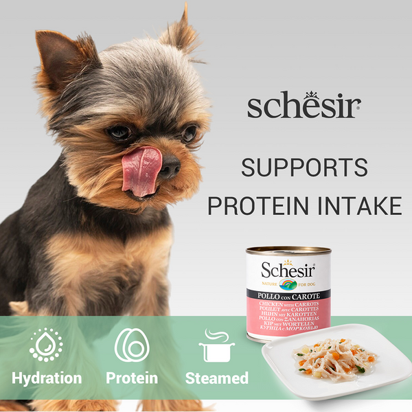 Schesir Chicken & Rice with Carrot in Jelly Dog Wet Food