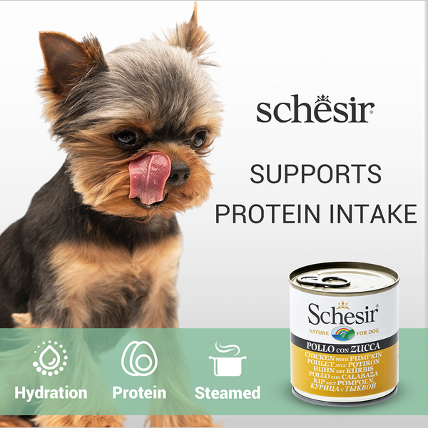 Schesir Chicken & Rice with Pumpkin in Jelly Dog Wet Food