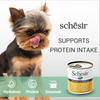Schesir Chicken & Rice with Pumpkin in Jelly Dog Wet Food Dogs-Wet Food Schesir