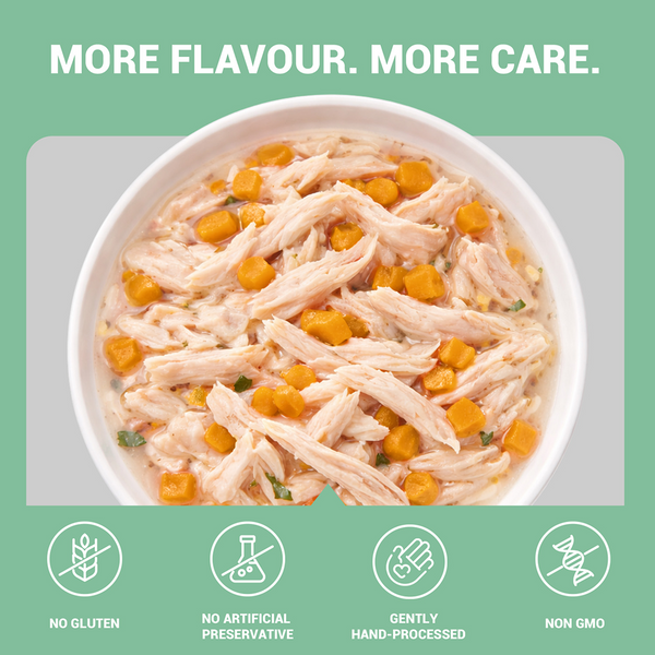 Schesir Chicken & Rice with Pumpkin in Jelly Dog Wet Food
