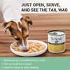 Schesir Chicken & Rice with Pumpkin in Jelly Dog Wet Food Dogs-Wet Food Schesir