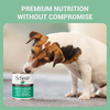 Schesir Chicken & Rice with Spinach in Jelly Dog Wet Food Dogs-Wet Food Schesir