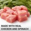Schesir Chicken & Rice with Spinach in Jelly Dog Wet Food Dogs-Wet Food Schesir