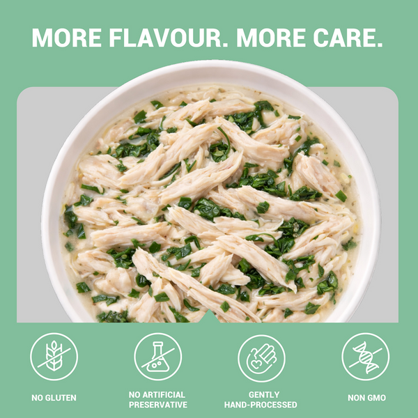 Schesir Chicken & Rice with Spinach in Jelly Dog Wet Food