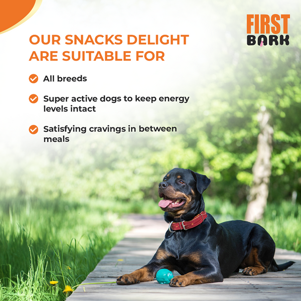 First Bark Soft Chicken Breast Dog Treat