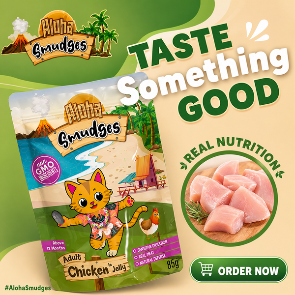 Aloha Smudges Chicken in Jelly Adult Cat Wet Food