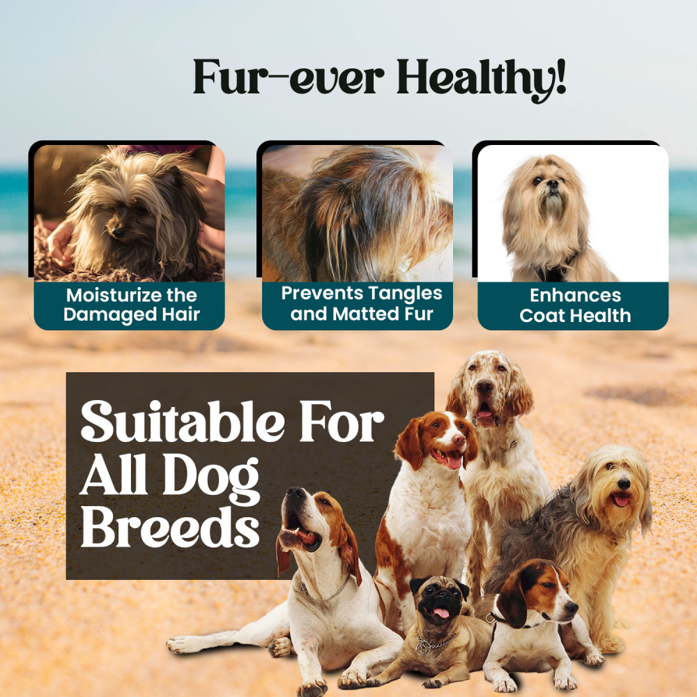 Forbis/Forcans Long Coat Aloe Shampoo for Dogs Dogs-Grooming Supplies Forbis