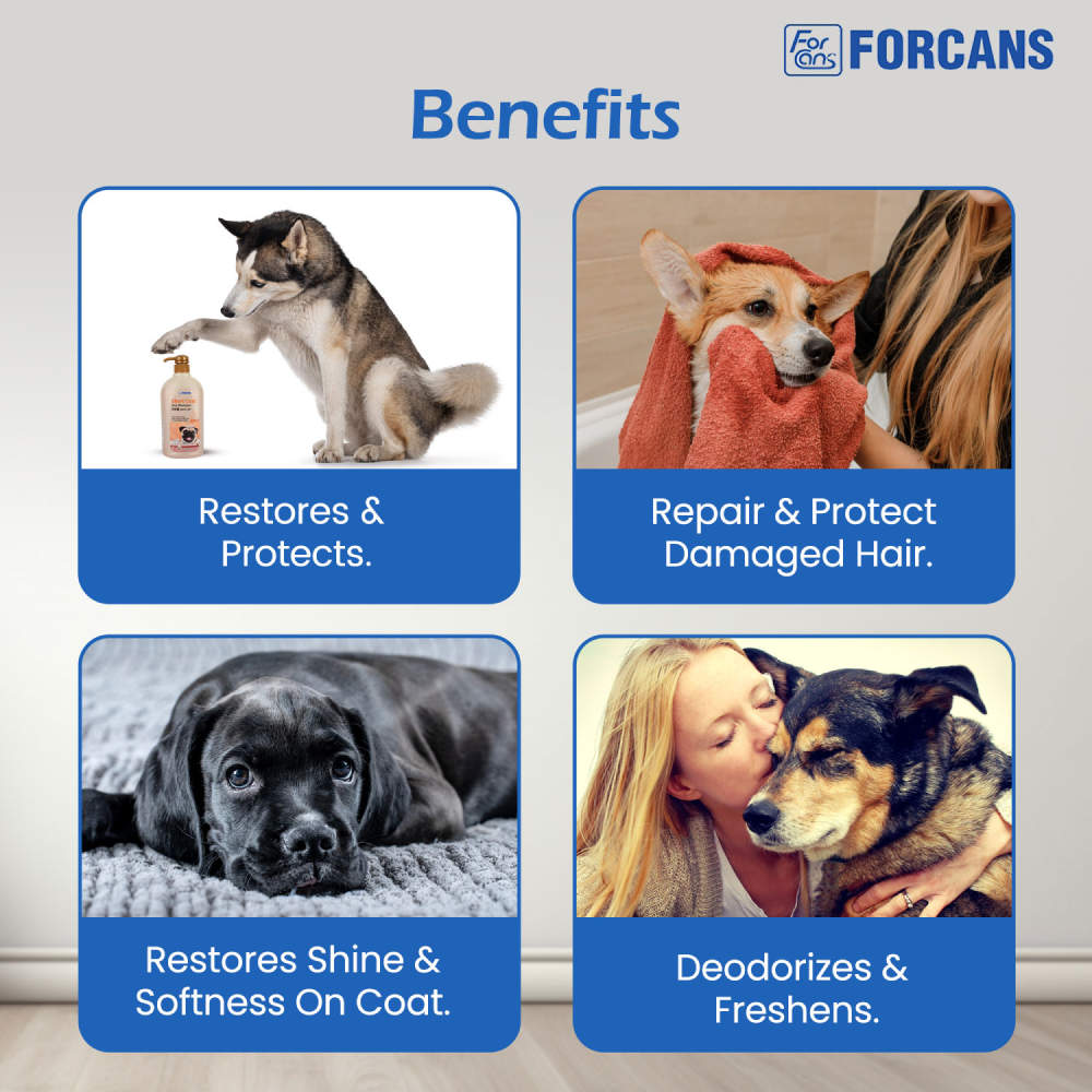 Forbis/Forcans Short Coat Aloe Shampoo for Dogs