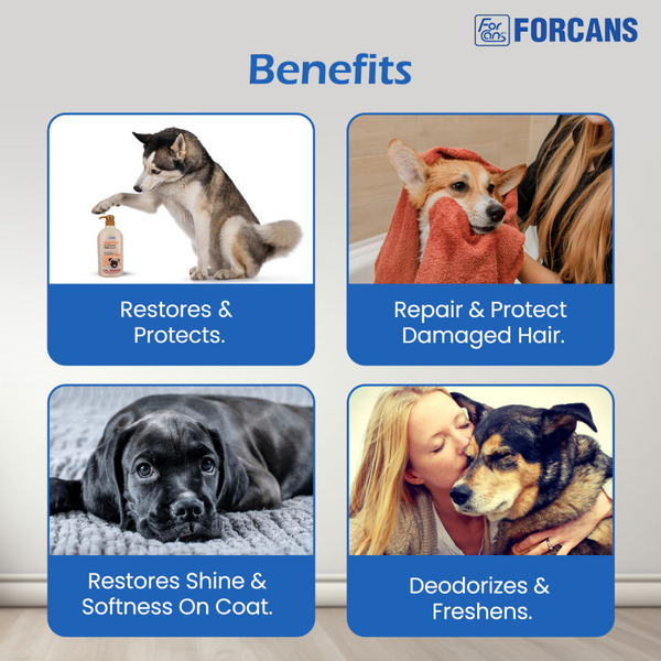 Forbis/Forcans Short Coat Aloe Shampoo for Dogs