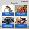 Forbis/Forcans Short Coat Aloe Shampoo for Dogs