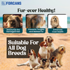 Forcans Aloe Long Coat Shampoo for Dogs Dogs-Grooming Supplies Forcans