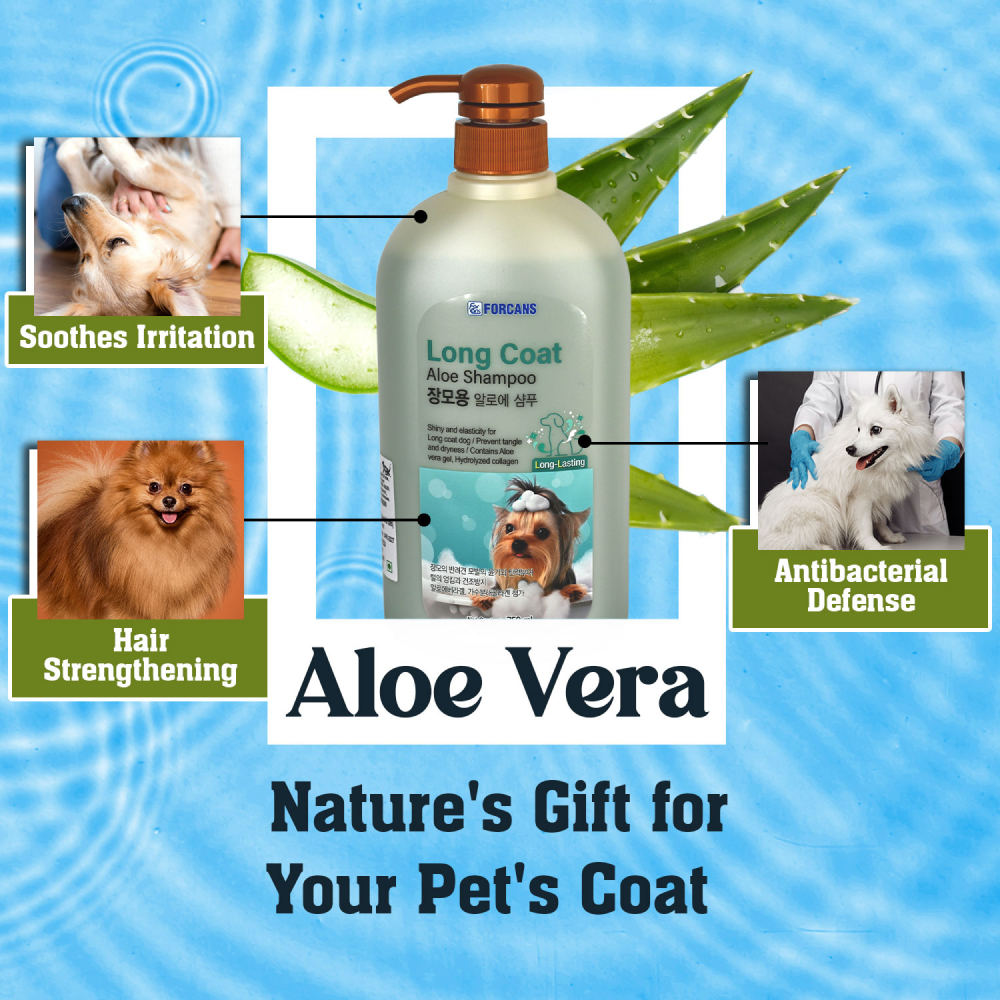 Forbis/Forcans Long Coat Aloe Shampoo for Dogs