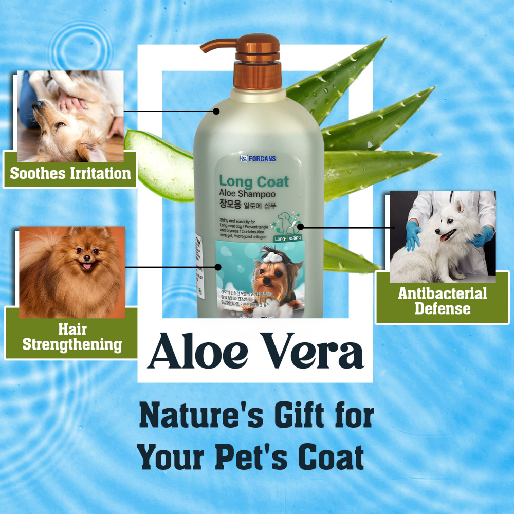 Forbis/Forcans Long Coat Aloe Shampoo for Dogs Dogs-Grooming Supplies Forbis
