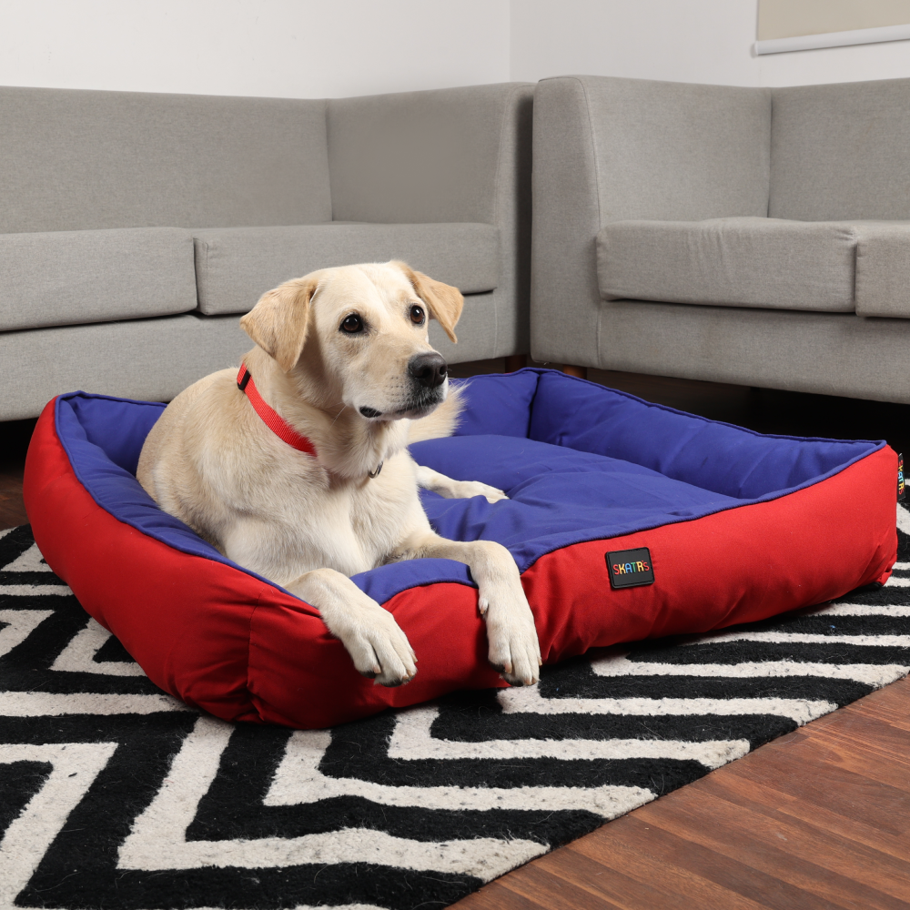 Skatrs Square Shaped Bed for Dogs & Cats (Red & Blue) Both-Bedding, Mats & Travel Supplies Skatrs